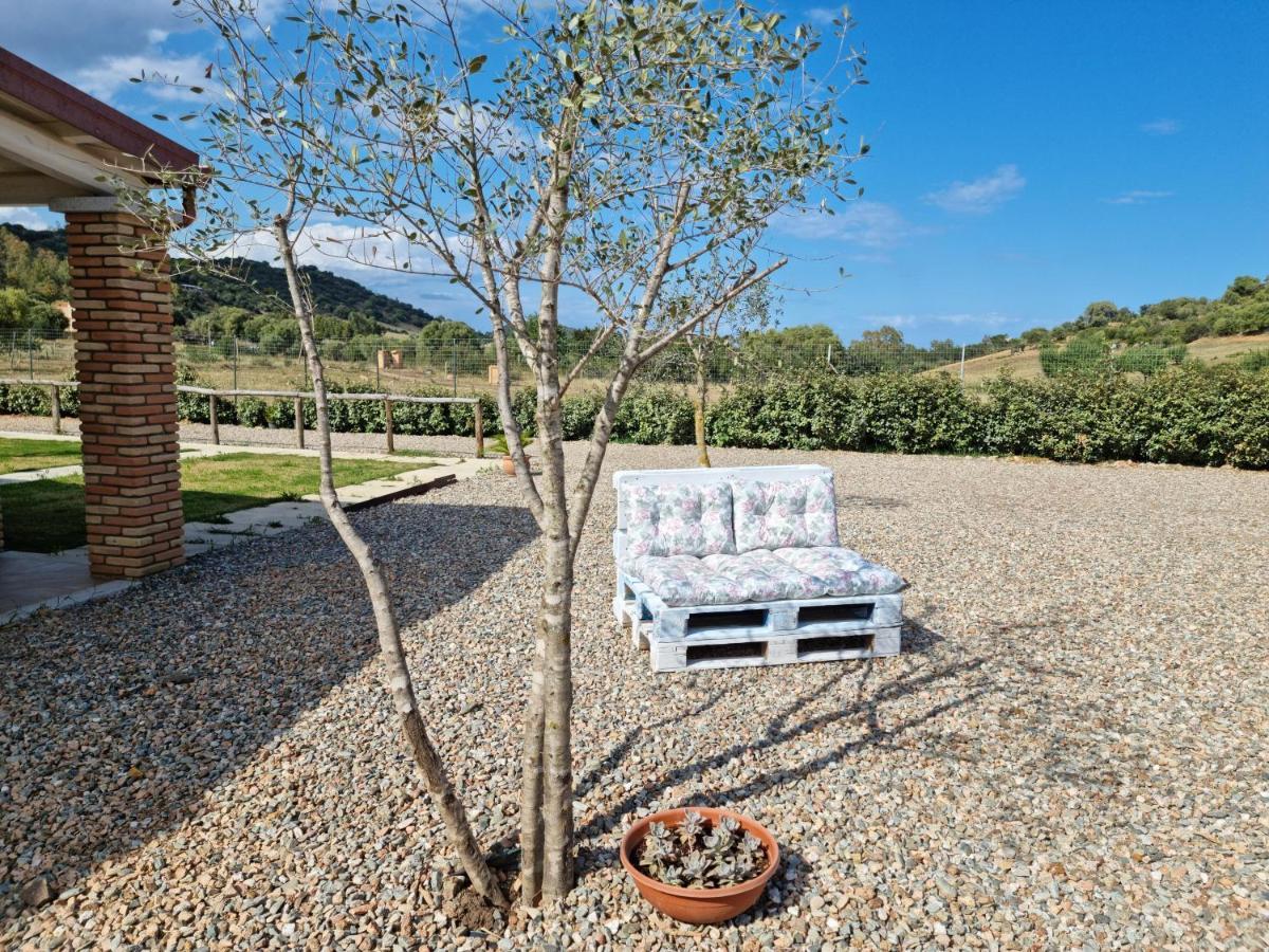 Agriturismo Sa Jana Holidays - Adults Only 卡尔德都 外观 照片